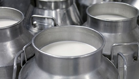 How To Choose Milk Can For Transportation