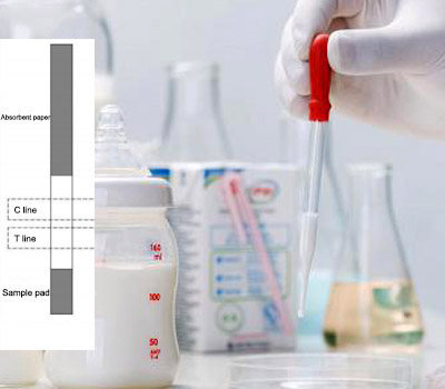 2-8 ℃ Raw Milk Quinolone Antibiotic Test Strip