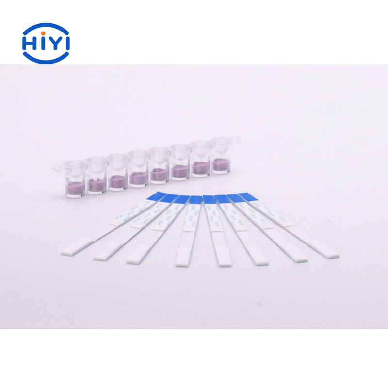 Aflatoxin M1 Lateral Flow Rapid Test Kit