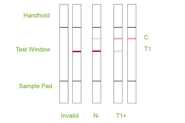 Test-细节2的副本.jpg