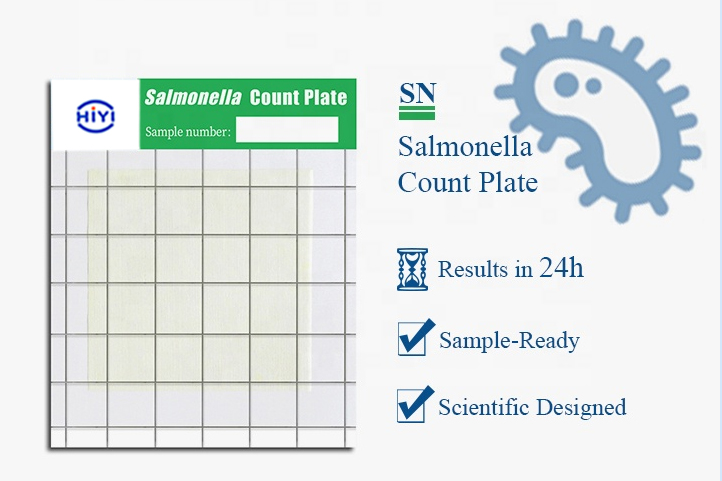 Salmonella-内容.jpg