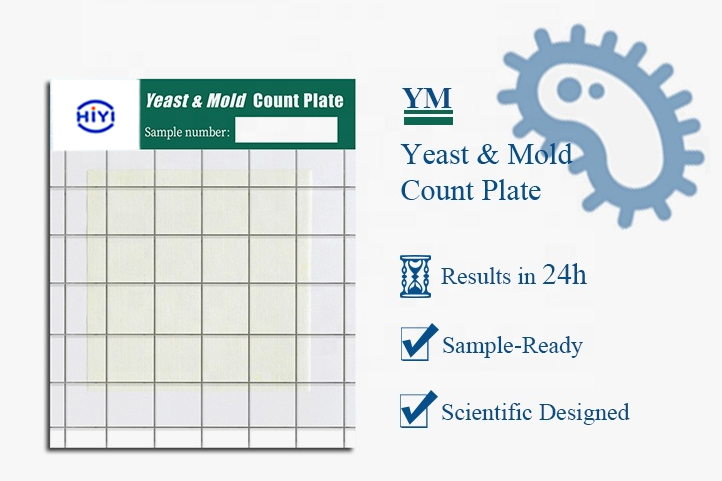 Yeast and Mold-内容.jpg