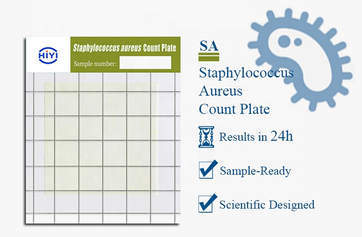 Staphylococcus Aureus-内容.jpg