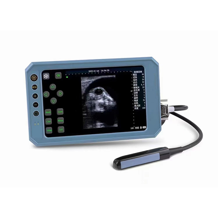 THY6 Veterinary Upscale Digital B-Ultrasound Diagnostic Instrument For Cattle Horse