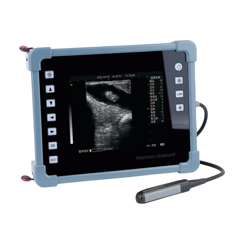CHY8 Professional Veterinary Digital B-Ultrasound Diagnostic Instrument For Cattle Sheep etc.